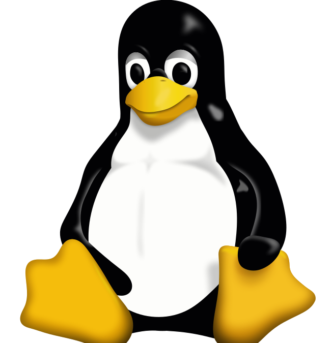 8° lezione – Corso base di Linux – marzo 2021